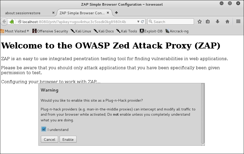 Using ZAP as an attack proxy