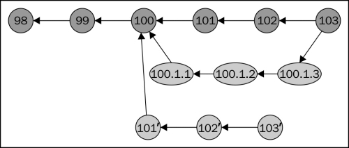 Understanding revision numbers