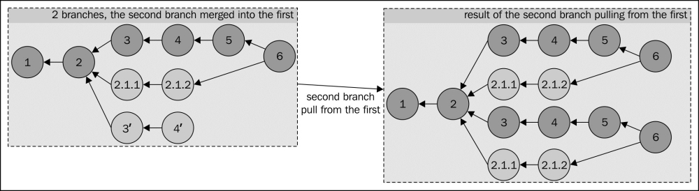 Mirroring branches