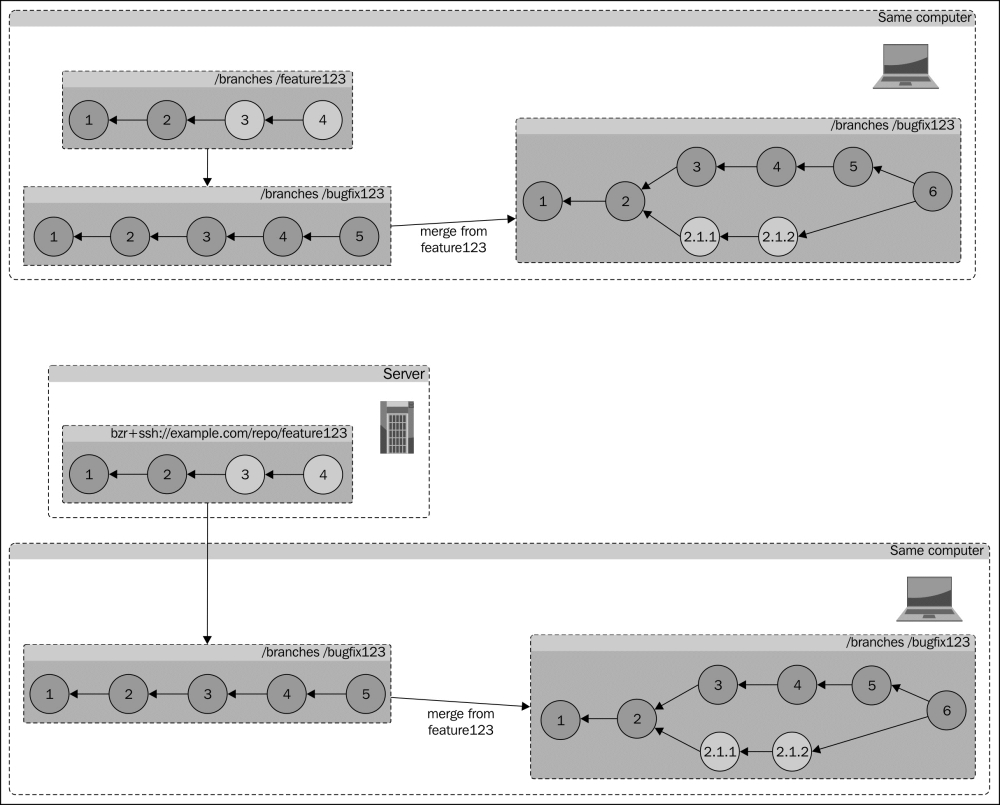 Working with remote branches