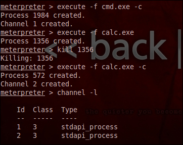 The meterpreter module