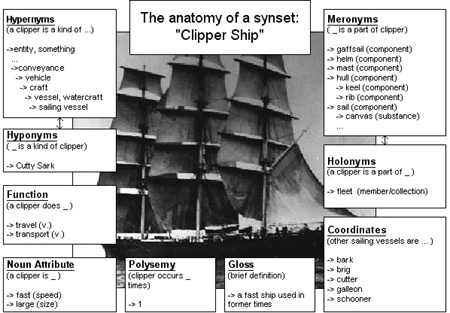 Wordnet relationships