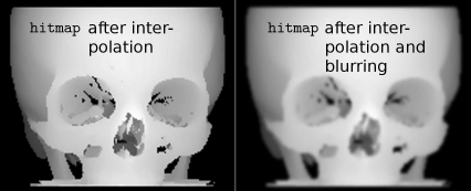 Figure showing hmap.pgm and hmapblurred.pgm; these images are generated from the hitmap image from BetterShadingI_8.m by carrying out the interpolation and blurring steps from Example 8.5.9. A surface rendering of these images results in Figure 8.35. Image data courtesy of the Dept. of Radiology, Medical University Vienna.