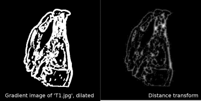 Figure showing t1.jpg after Sobel-filtering, intensity thresholding, and dilation (left). This image can be found in the LessonData folder as T1_EdgeImageDilated.jpg. The right image shows its distance transform (DT_ChamferMatch.jpg in LessonData). The image is an intermediate result of Example 9.9.4. In the chamfer-matching algorithm, the sum of the entries in the distance transform of IBase at the location of non-zero pixels in IMatch is computed while IMatch moves over the base image.