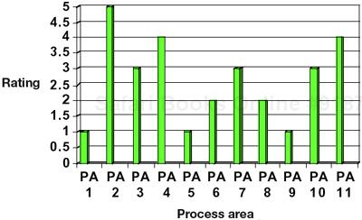 Example of a rating profile for the 11 process areas of the SSE-CMM (from [347]).