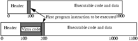 How an executable infector works. It inserts itself into the program so that the virus code will be executed before the application code. In this example, the virus is 100 words long and prepends itself to the executable code.