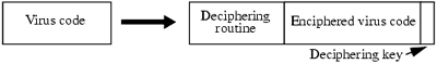 An encrypted virus. The ordinary virus code is at the left. The encrypted virus, plus encapsulating decryption information, is at the right.