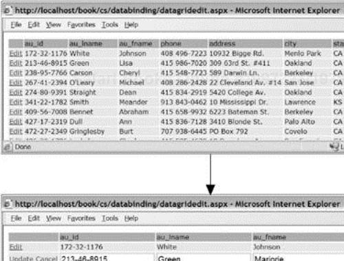 A DataGrid with Editing Support in Action