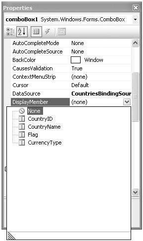 Setting the DisplayMember in the Properties Window