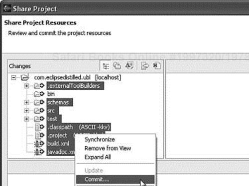 Commit selected project resources to the repository.