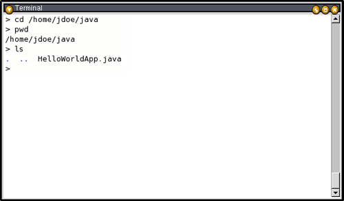 Results of the ls command, showing the .java source file.