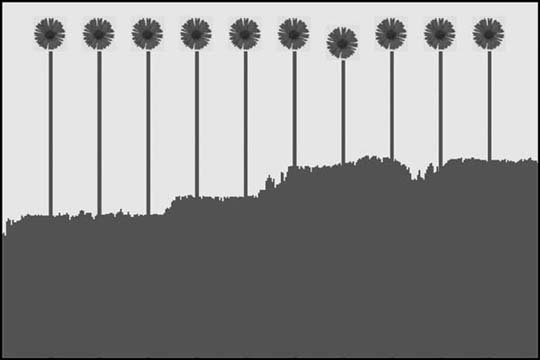 Resulting flower population