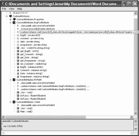 The metadata in the assembly