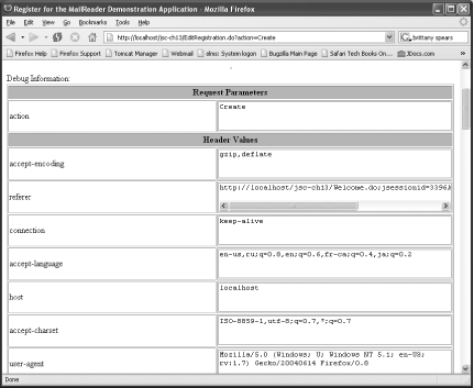 Request parameters and header values