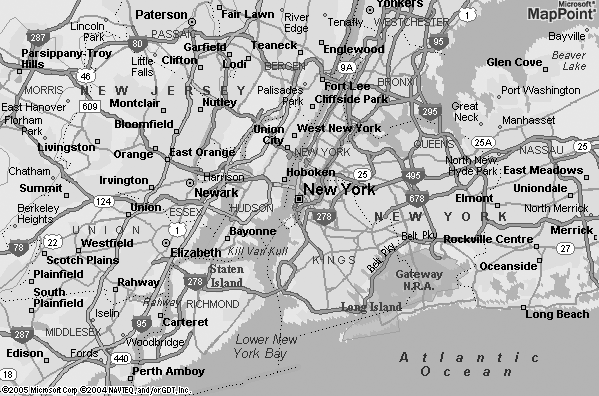 A 400 × 600 map rendered for New York, NY