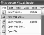 Using Visual Studio 2005 for this project