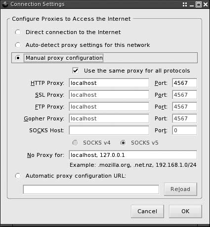 Proxy connection settings in Mozilla Firefox