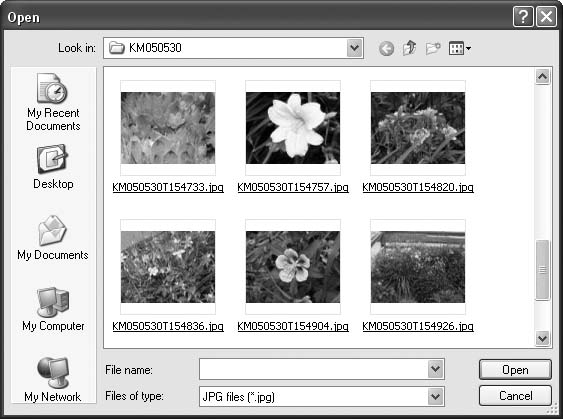 Using the OpenFileDialog control to select a picture file