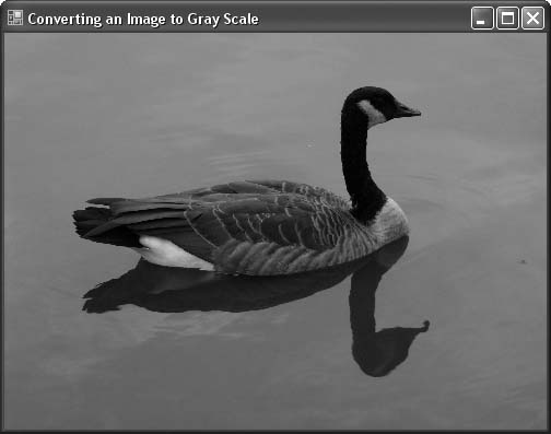 A color picture converted to grayscale