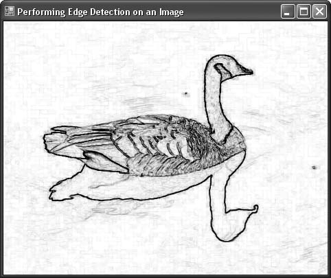 Edge detection using the LockImage class’s EdgeDetect( ) method