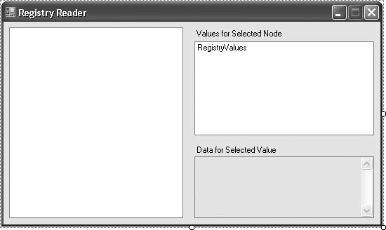 The form and controls for the registry viewer