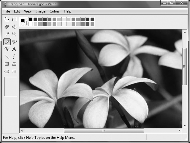 The Paint utility, which provides a few rudimentary tools for working with image files