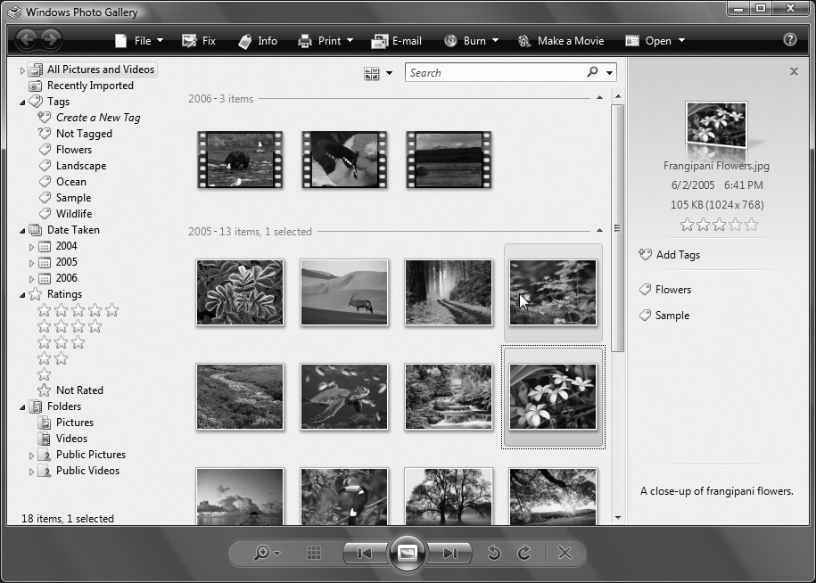 Windows Photo Gallery, for organizing pictures and video clips