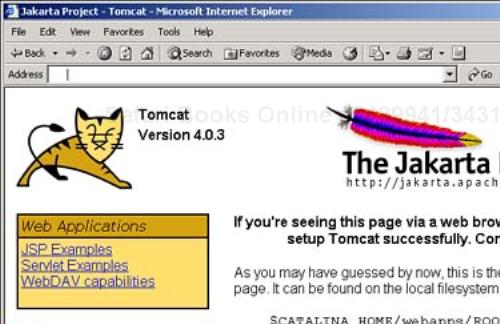 Running the Tomcat server.