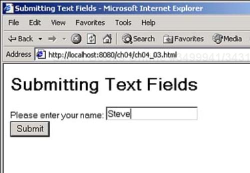 Submitting text fields.