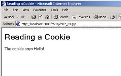 Reading a cookie.