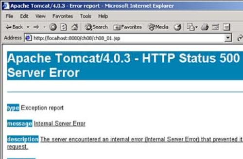 A Tomcat error page.