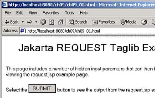 The Jakarta Request tag library example.