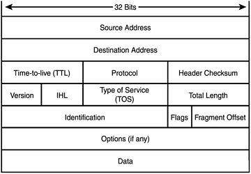 The IP datagram.