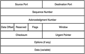 TCP packet structure.