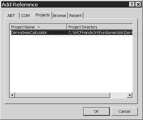 Adding a reference to the DerivativesCalculator project.