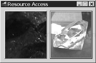 The Resource Access client user interface.