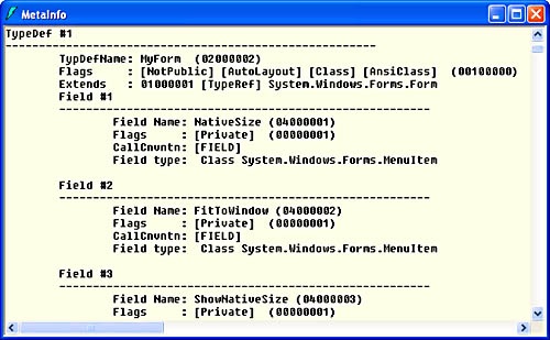 Metadata displayed by ILDASM.