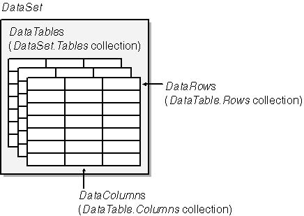 The DataSet object.