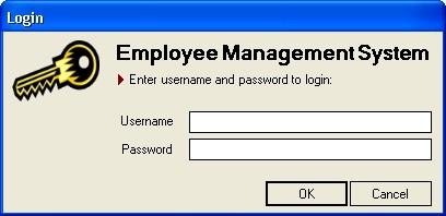 The frmLogin form