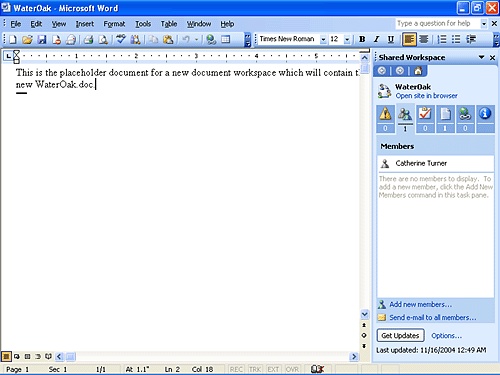 Working with the Office 2003 Shared Workspace Task Pane