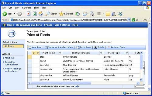 Using the Datasheet View