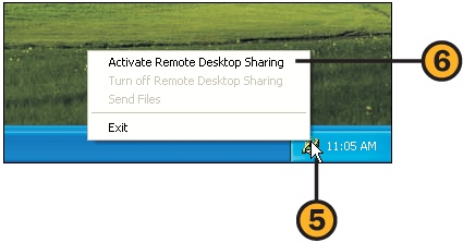 Share the Desktop