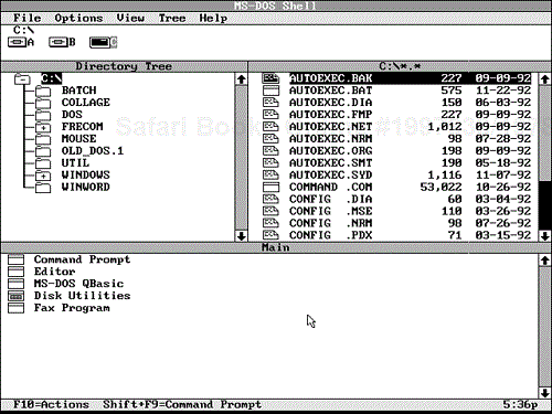 The DOS Shell window displayed in graphics screen mode.