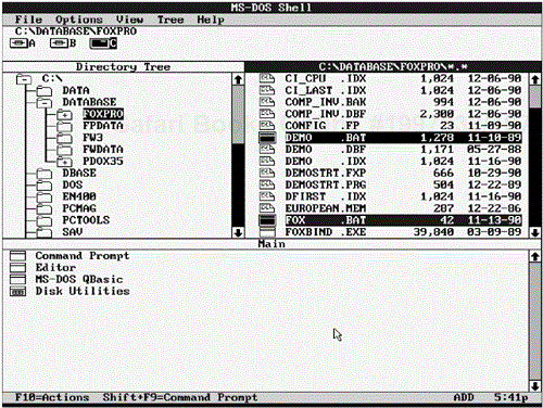 Selecting several files in the DOS Shell.