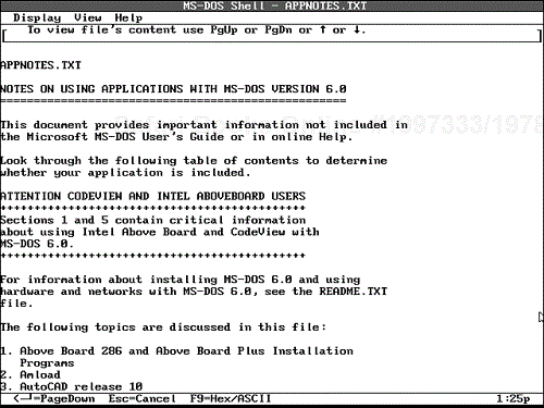 The ASCII viewer.