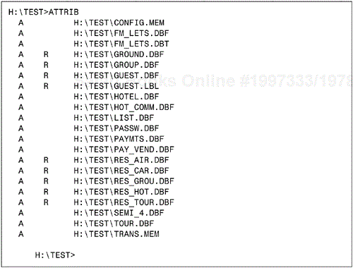 The ATTRIB display when no parameters are given.