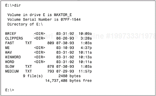 Directory names are marked with <DIR> to show that they are not files.