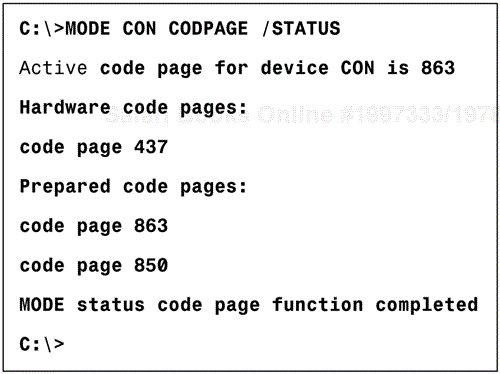 Viewing the code page status.