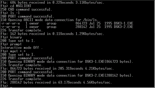 Retrieving two files from an FTP site.