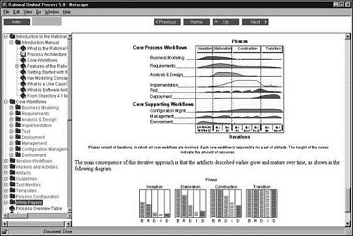 The Web-enabled Rational Unified Process interface needs to reside on every project member’s desktop.